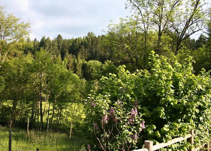 Saint Vincent Herberg